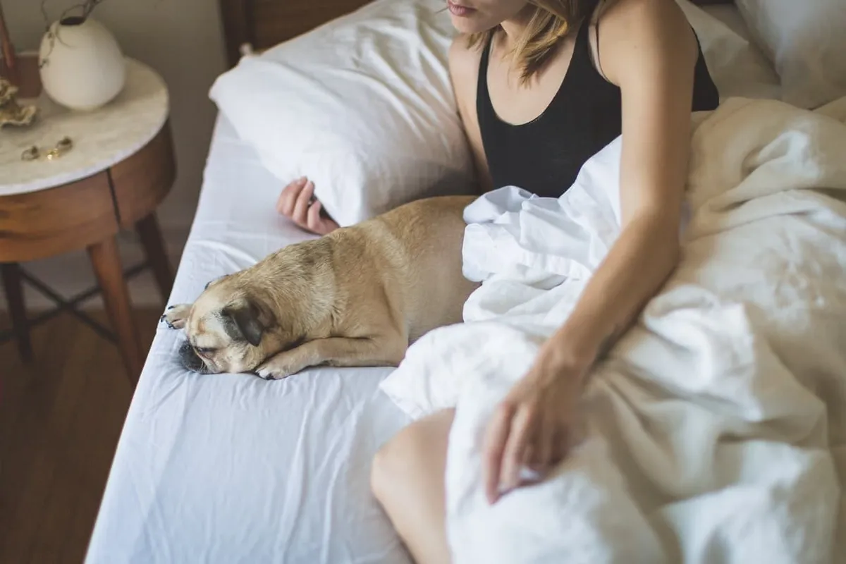 Darf der Hund ins Bett?