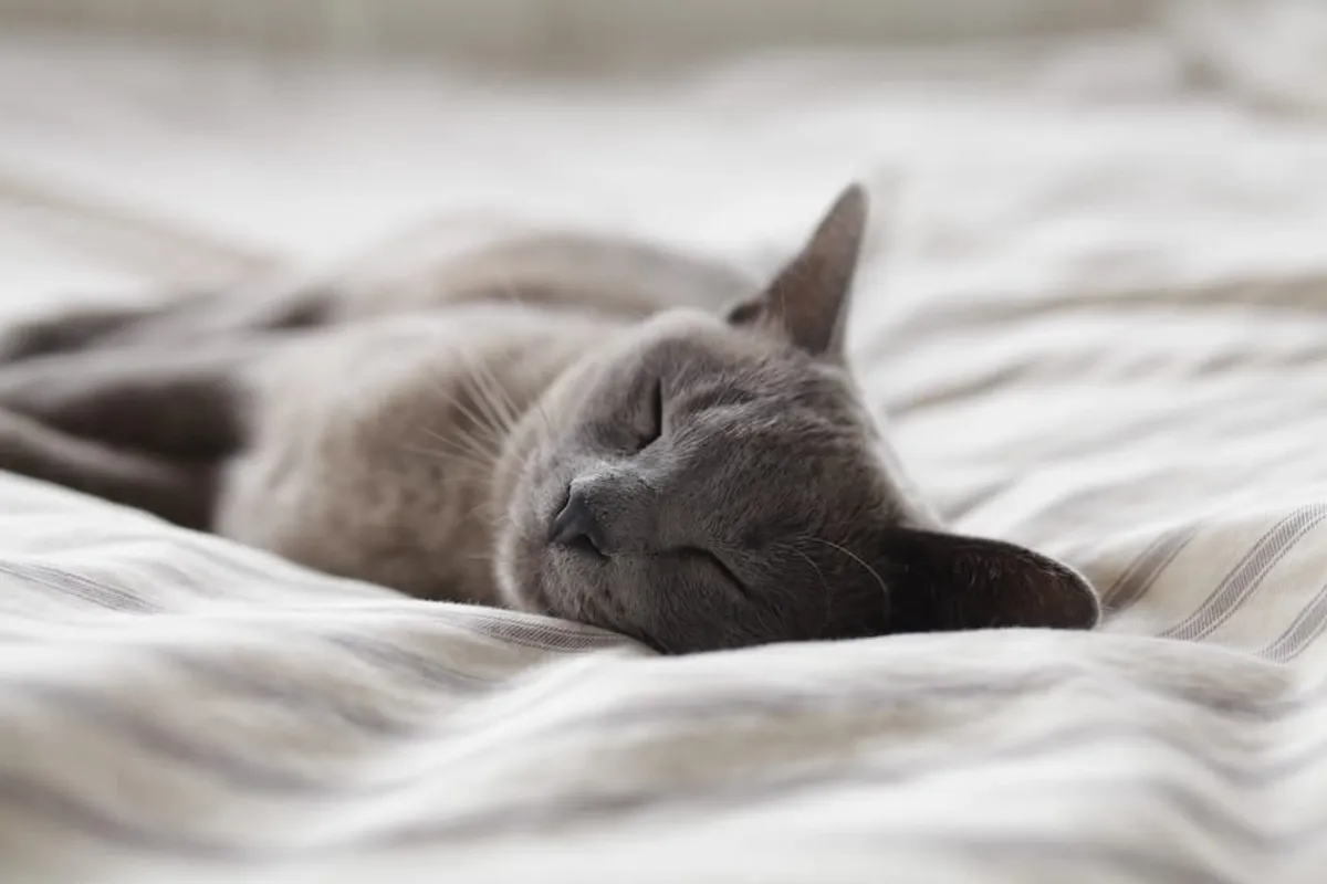 Mit Melatonin besser einschlafen