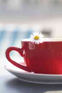 Abwarten und Teetrinken: Hilft auch vor dem Zubettgehen